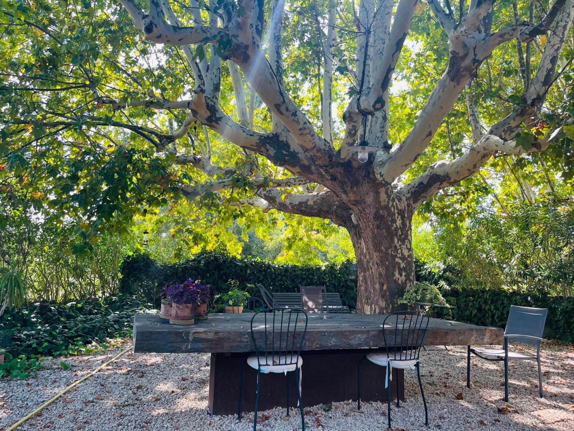 Puyvert Appartement De Charme En Duplex Au Calme Avec Jardin Et Acces Piscine - Proche Lourmarin Exterior photo