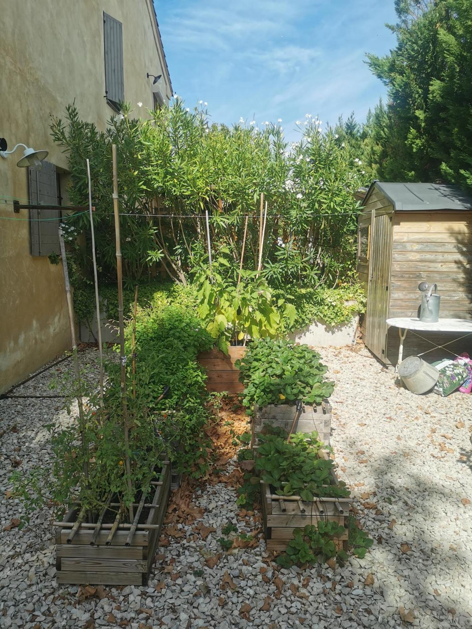 Puyvert Appartement De Charme En Duplex Au Calme Avec Jardin Et Acces Piscine - Proche Lourmarin Exterior photo